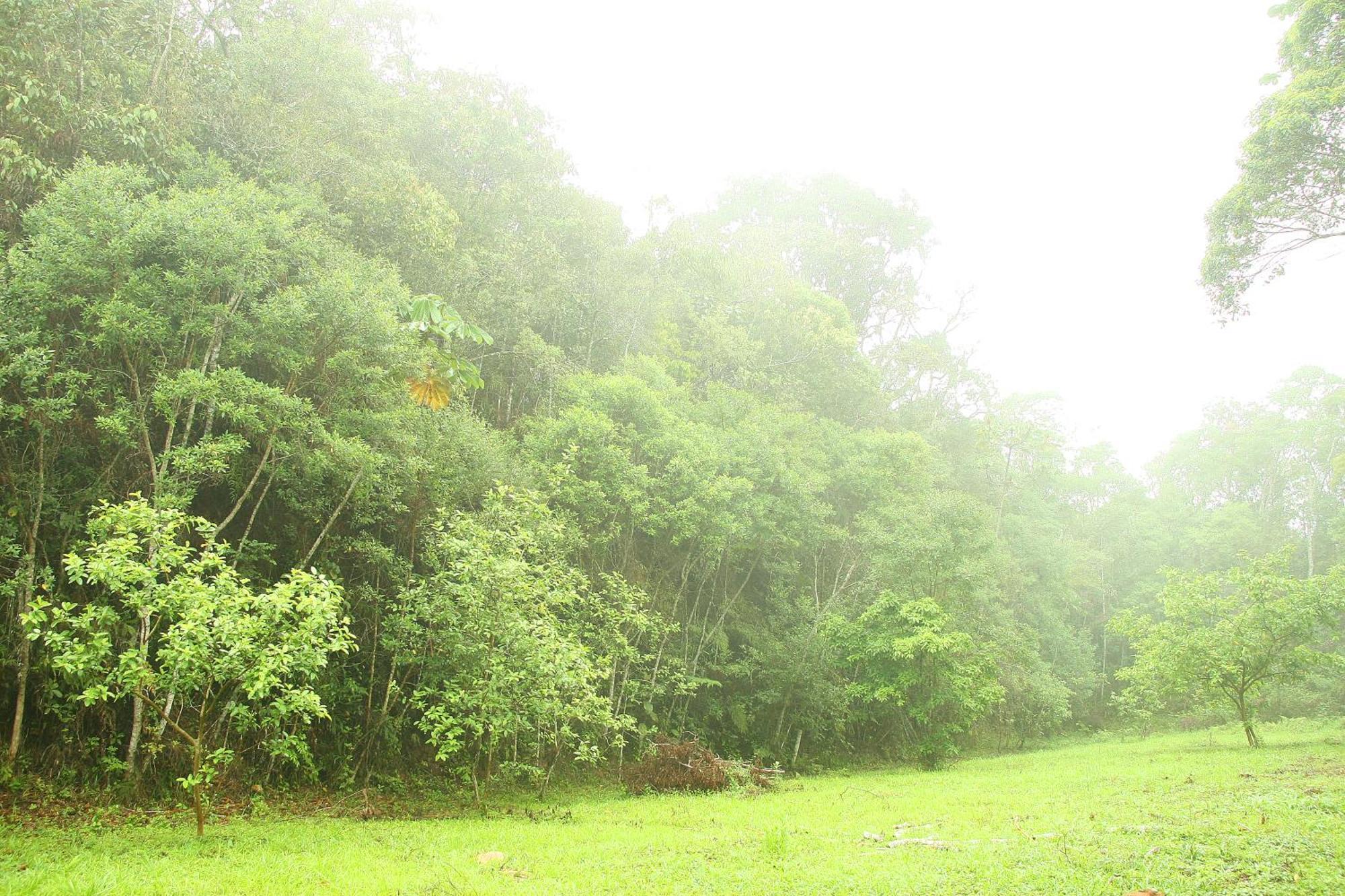 Lodge Chale Hibisco Amarelo Juquitiba